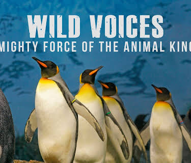 Wild Voices: The Mighty Force of the Animal Kingdom (2024)