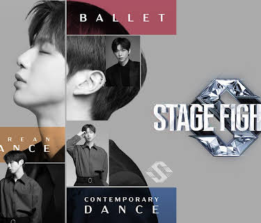Stage Fighter