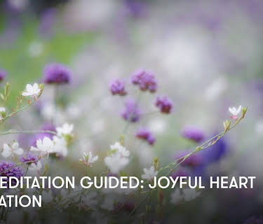 Zen Meditation Guided: Joyful Heart Meditation (2024)