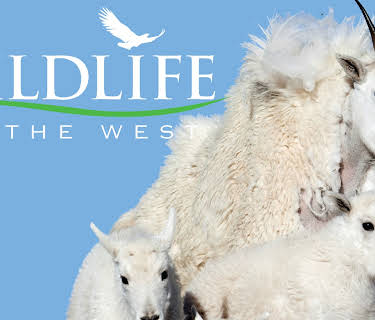 Wildlife of the West