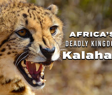 Africa's Deadly Kingdom: Kalahari (2018)