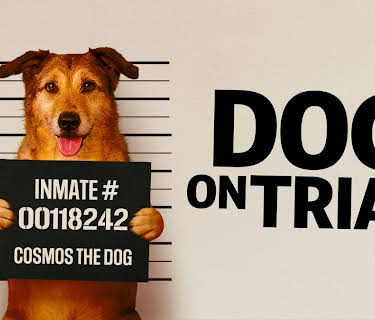 Dog on Trial (2025)