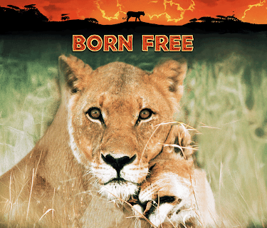 Born Free (1966)
