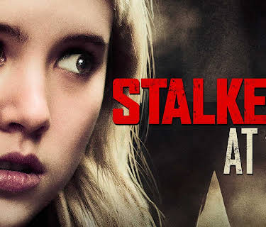 Stalked at 17 (2012)