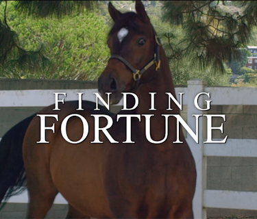 Finding Fortune (2016)