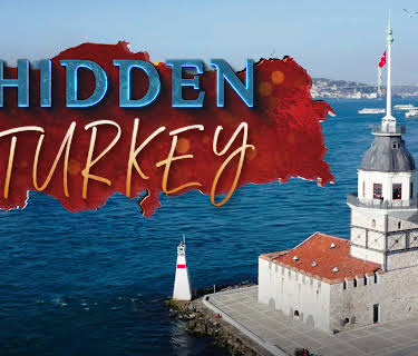 Hidden Turkey (2021)