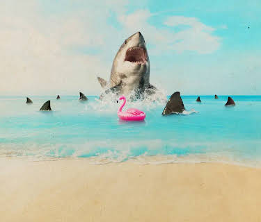 Florida's Death Beach (2025)
