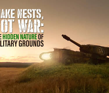 MAKE NESTS, NOT WAR: The Hidden Nature of Military Grounds (2020)