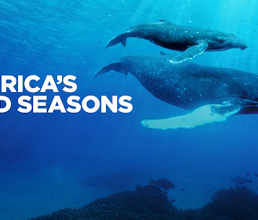 America's Wild Seasons