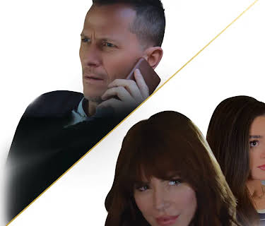 The Wrong Stepfather (2020)