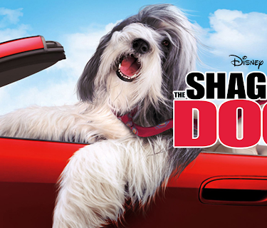 The Shaggy Dog (2006) (2006)