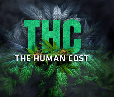 THC: The Human Cost