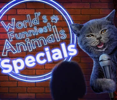 World's Funniest Animals Specials
