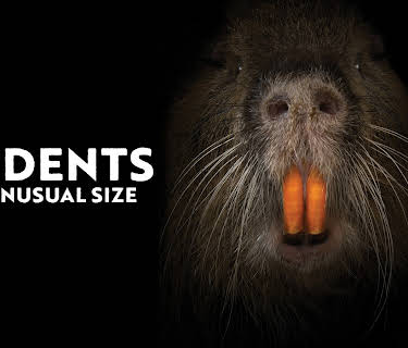 Rodents of Unusual Size (2017)