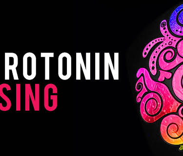 Serotonin Rising (2011)