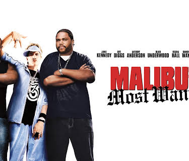 Malibu's Most Wanted (2003)