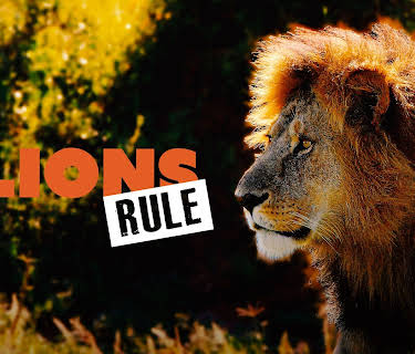 Lions Rule (2020)