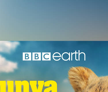Tunya the Lion Prince