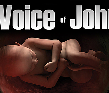 The Voice of John, one small voice will speak for millions (2013)