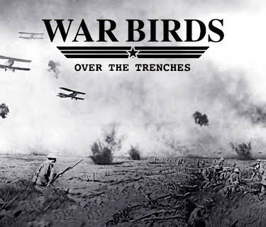 Warbirds Over the Trenches