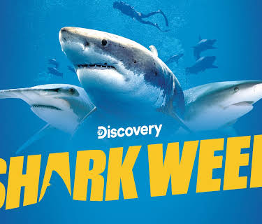 Shark Week 2021 D+ Trailer