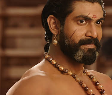 Baahubali: The Beginning (Hindi Version) (2015)