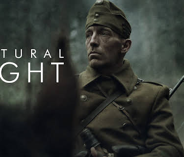 Natural Light (2023)
