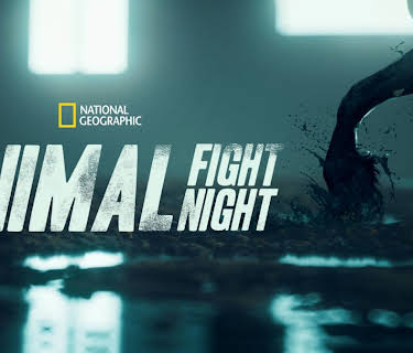 Animal Fight Night