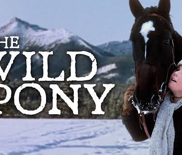 The Wild Pony (1983)