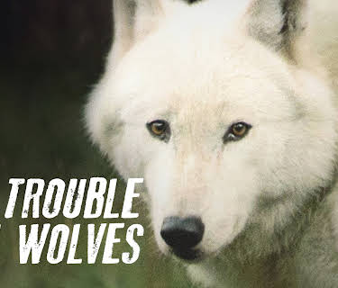 The Trouble With Wolves (2019)