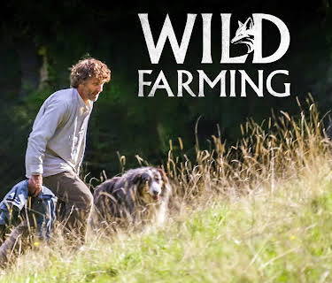 WILD FARMING (2024)