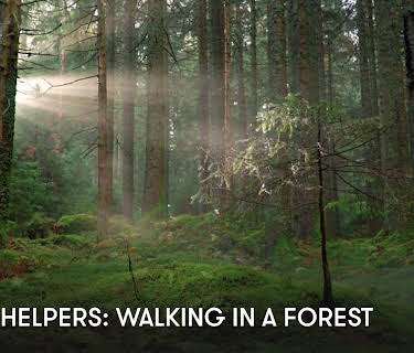 Sleep Helpers: Walking in a Forest (2023)