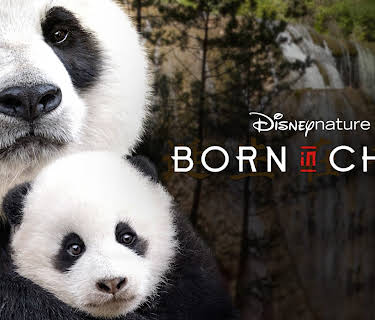 Disneynature: Born in China (2017)