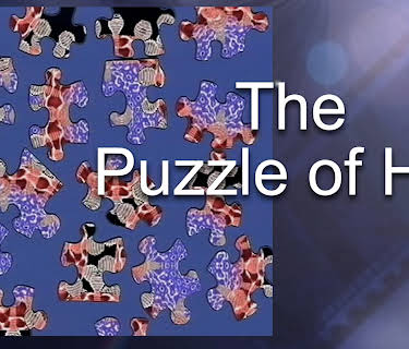 Puzzle of HIV, The (2010)