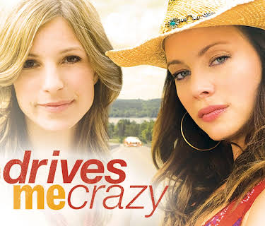 She Drives Me Crazy (2007)