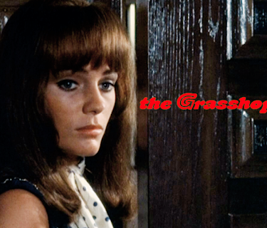 The Grasshopper (1970)