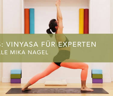 Tapas: eine Vinyasa Klasse für Experten (2014)