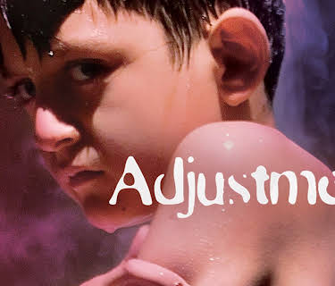 Adjustment (2022)