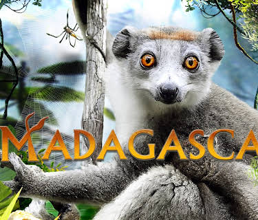 Madagascar (1994)