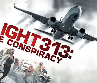 Flight 313: The Conspiracy (2016)