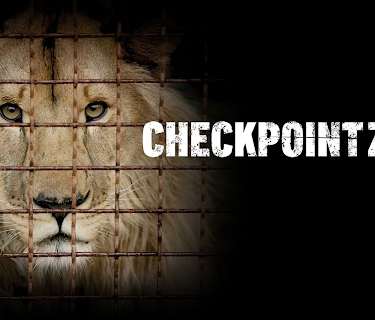 Checkpoint Zoo (2024)