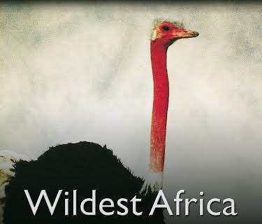 Wildest Africa (1995)