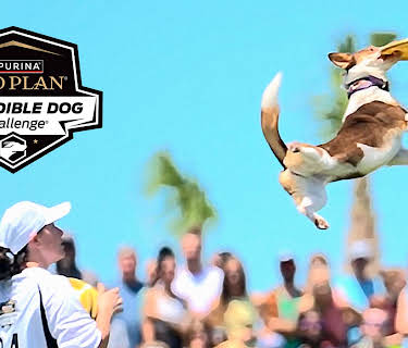 Incredible Dog Challenge S1