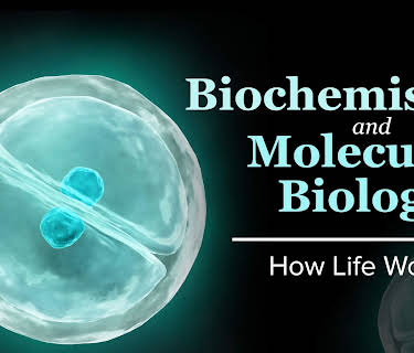 Biochemistry and Molecular Biology: How Life Works
