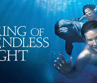 A Ring of Endless Light (2002)