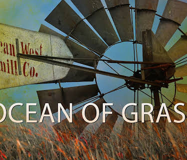 Ocean of Grass (2016)