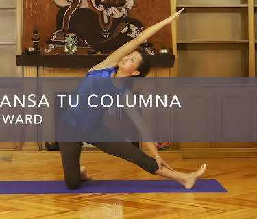 Descansa tu columna (2016)