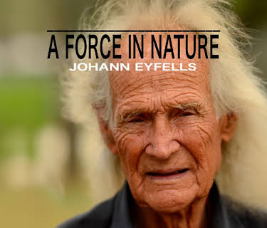 A Force in Nature: Jóhann Eyfells (2016)