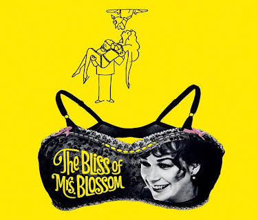 The Bliss of Mrs. Blossom (1968)