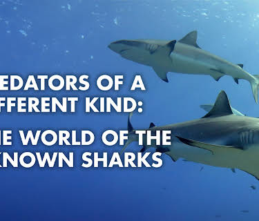 Predators of a Different Kind - In the World of the Unknown Sharks (2013)
